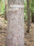 Summer '06 Sunriver 507 